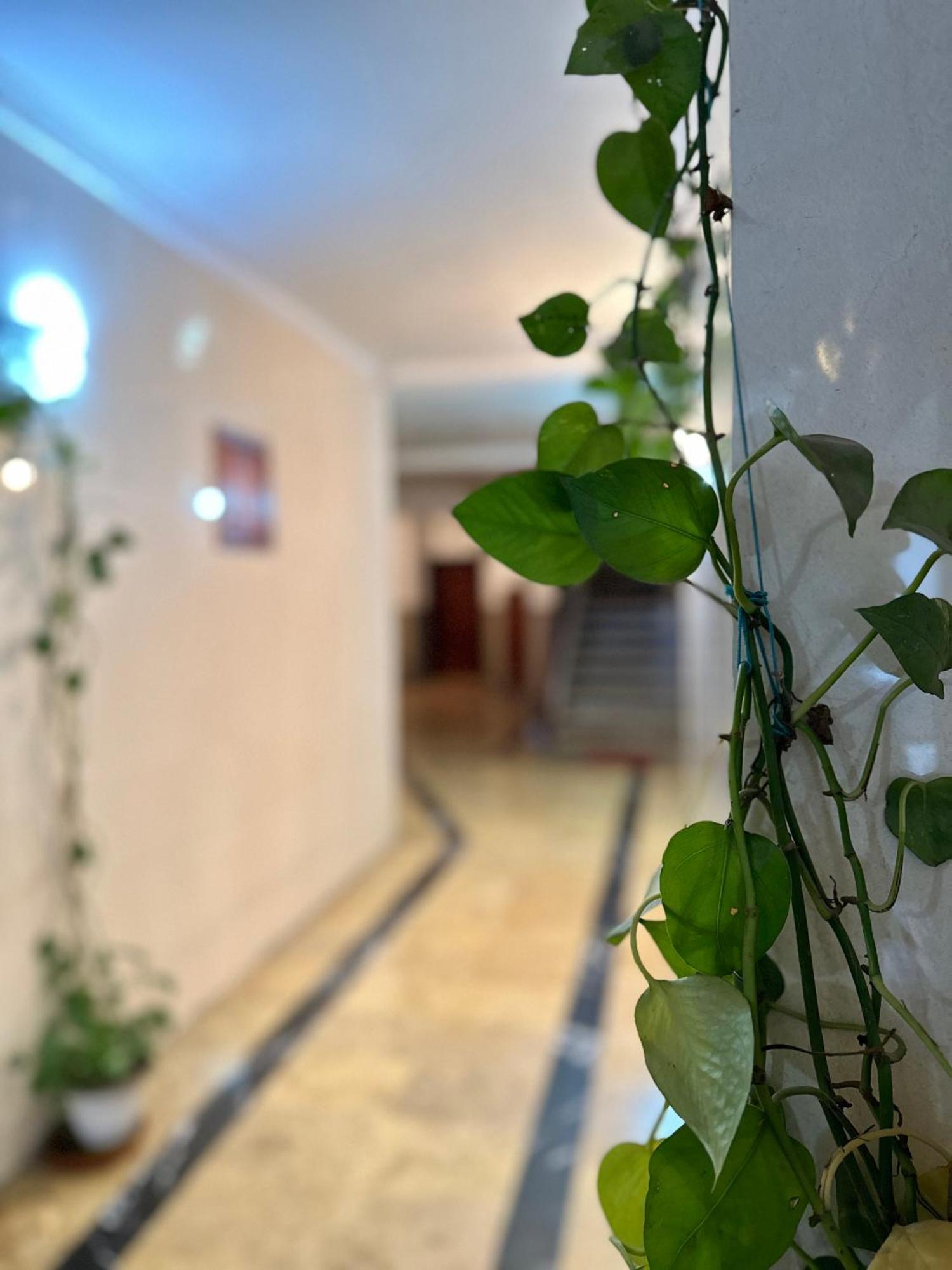 Casa Central Tétouan 外观 照片